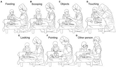 When do toddlers point during mealtime?: Pointing in the second year of life in everyday situations
